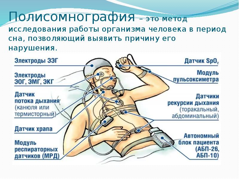 Сон методы исследования сна презентация