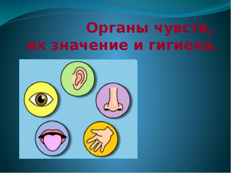 Органы чувств 8 чувство. Кластер на тему органы чувств. К органам чувств не относятся. Тренинг для всех органов чувств. Гигиена органов чувств таблица 8 класс.