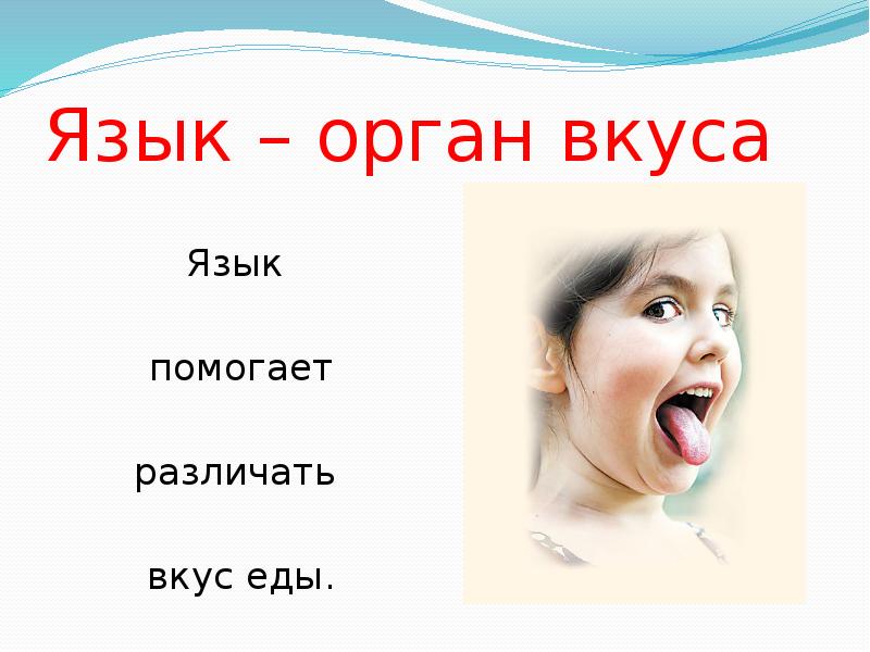 Язык – орган вкуса
Язык
помогает
различать
Язык – орган вкуса
Язык
помогает
различать
