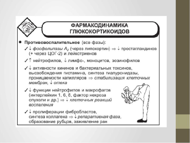 Глюкокортикостероиды клиническая фармакология презентация