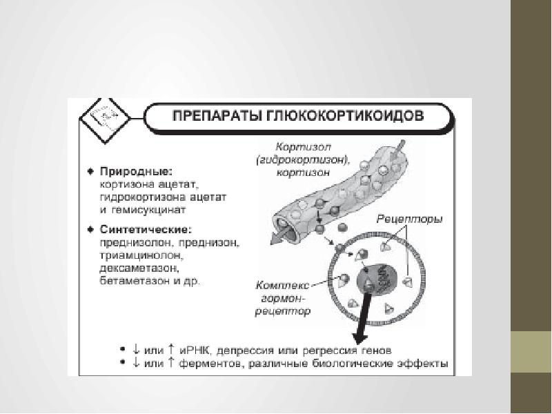 Преднизолон при гломерулонефрите. Глюкокортикоиды при гломерулонефрите. Классификация глюкокортикоидов схема.