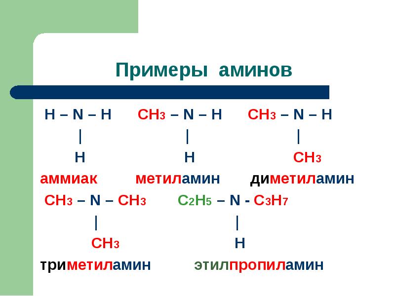 Азотосодержащее органическое соединение амины презентация