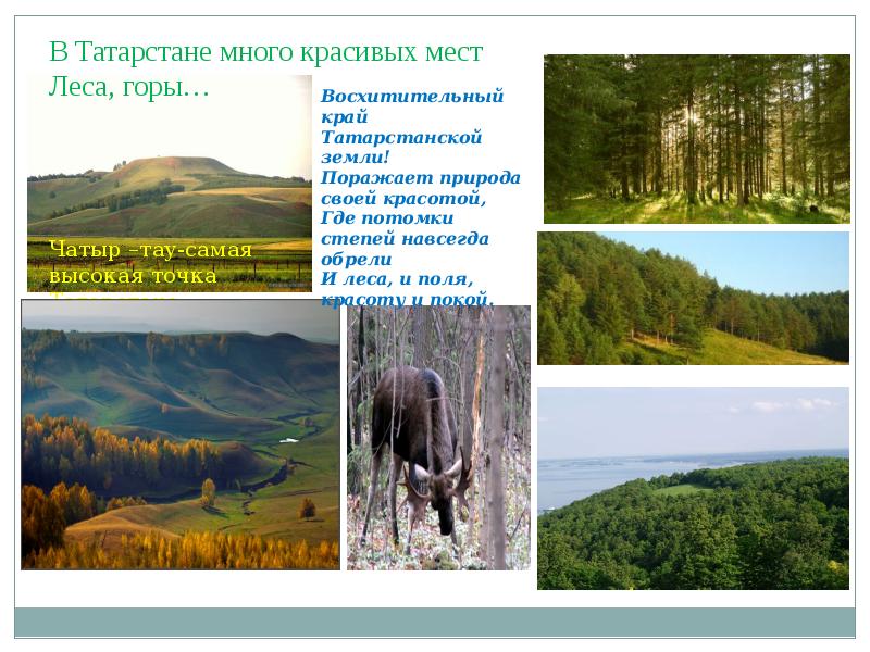 Опишите природный комплекс вашей местности по плану 6 класс алтайский край