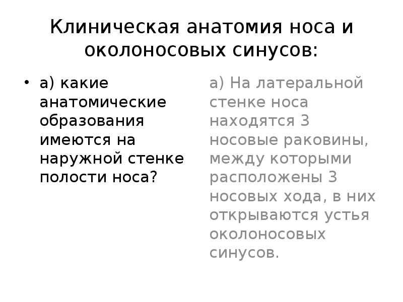 Какие анатомические образования имеются на внутренней поверхности стенок ventriculus sinister