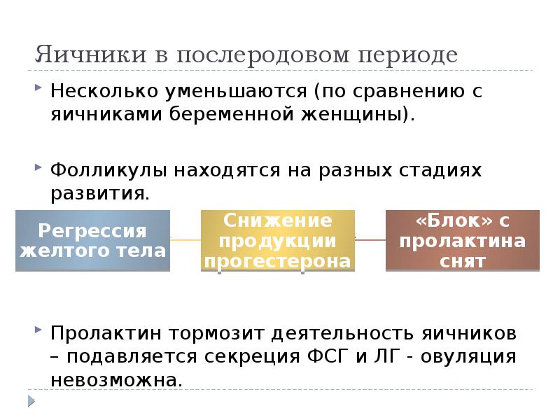 Изменение со. Изменение эндокринной системы в послеродовом периоде. Изменения в организме женщины в послеродовом периоде. Послеродовый период изменения в организме женщины. Яичники в послеродовом периоде.