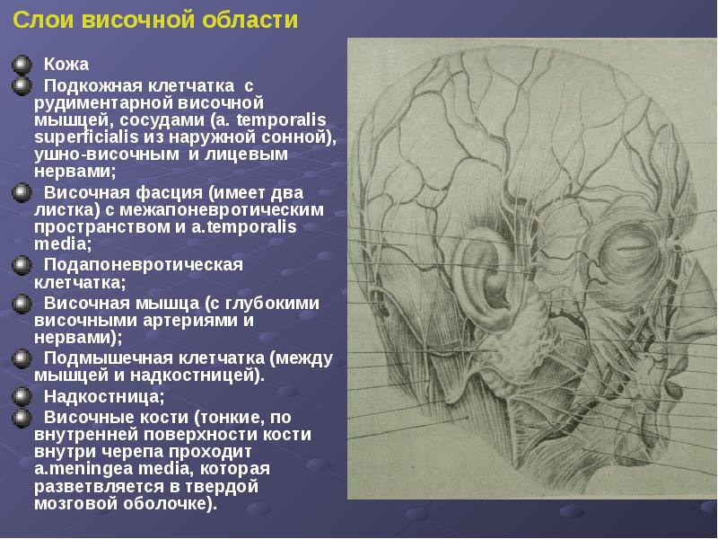 Оперативная хирургия лицевого отдела головы презентация