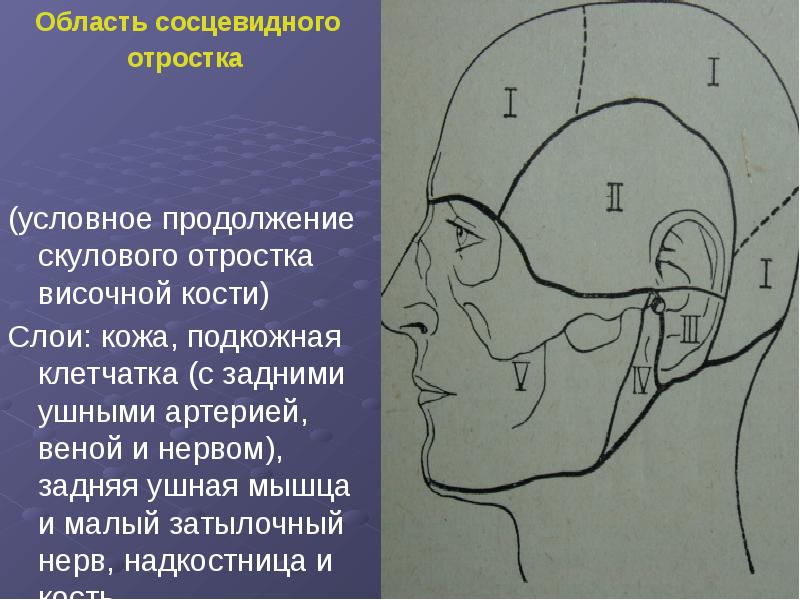 Оперативная хирургия лицевого отдела головы презентация