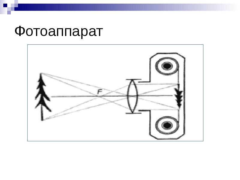 Охарактеризуйте изображение получаемое с помощью проекционного аппарата фотоаппарата