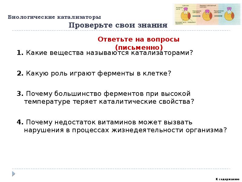 Биологические катализаторы это. Биологические катализаторы называются. Биологические катализаторы. Какие биологические катализаторы вам известны.