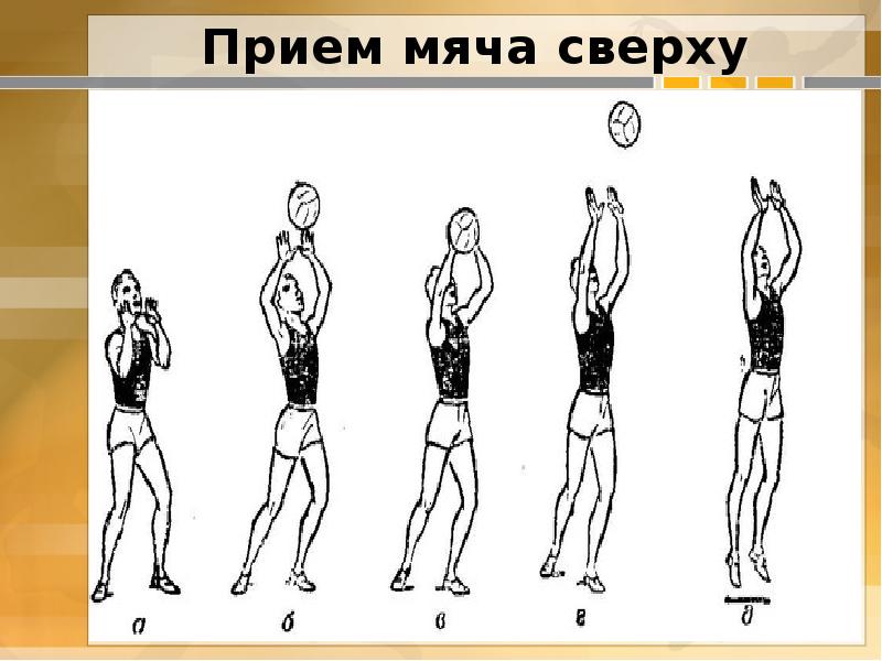 Прием мяча сверху. Прием мяча сверху сверху. Рисунки техники приема мяча сверху. Прием мяча сверху в волейболе.