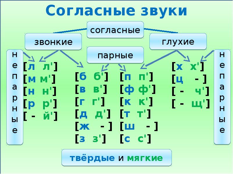 Ч звонкая. Звукобуквенный анализ и Синтез. Звукобуквенный разбор слова горох для 3 класса. Звукобуквенный разбор слова горох.