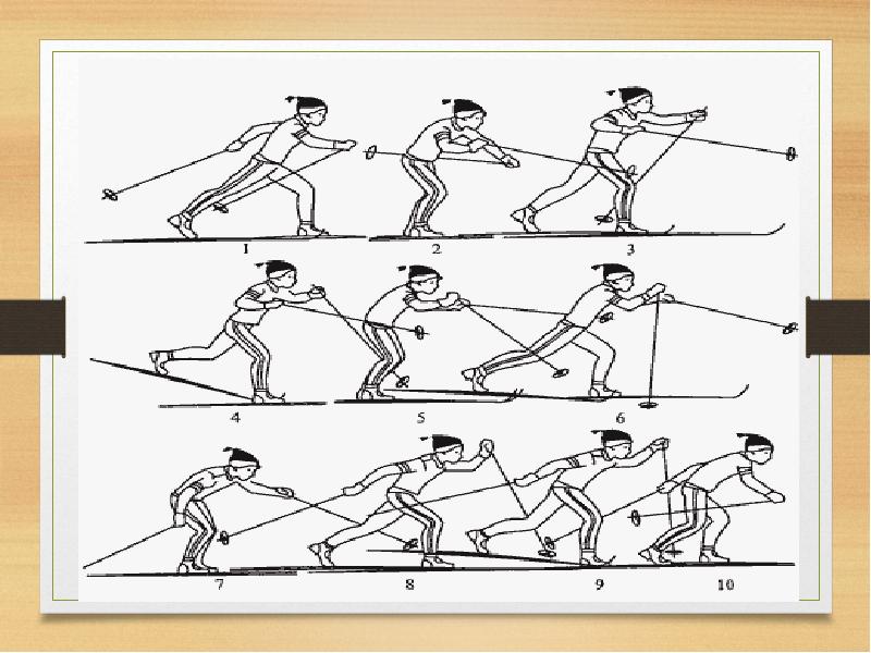 Определите в каком ответе каждому лыжному ходу соответствует свой рисунок