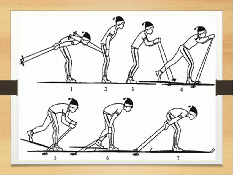 Лыжные ходы виды. Бесшажный коньковый ход. Бесшажный ход коньковый ход двухшажный ход. Попеременный бесшажный ход на лыжах техника. Одновременный бесшажный и двухшажный ход.