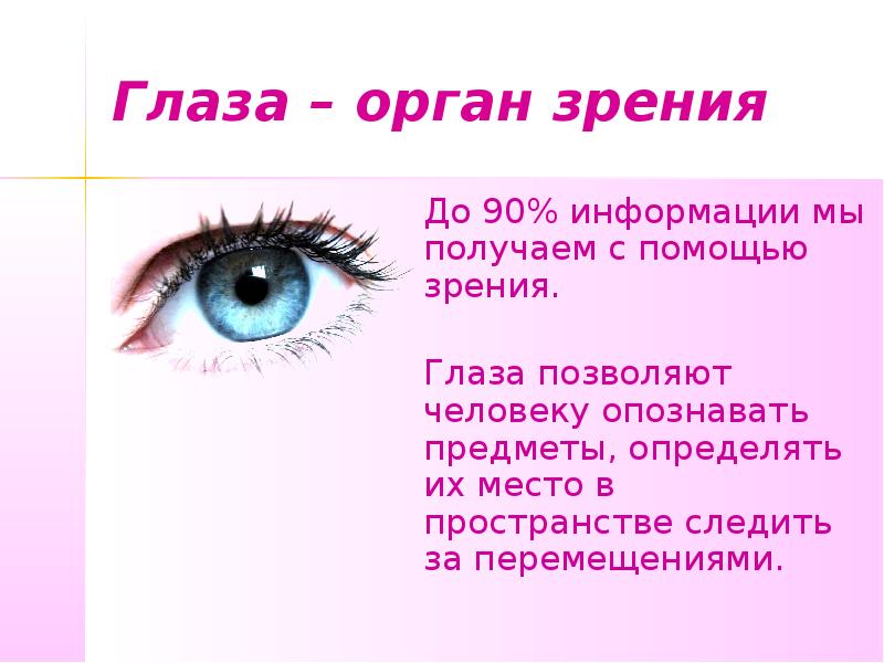Темы глазки. Глаза орган зрения. Сообщение о органе зрения. Орган глаза орган зрения. Органы чувств зрение.