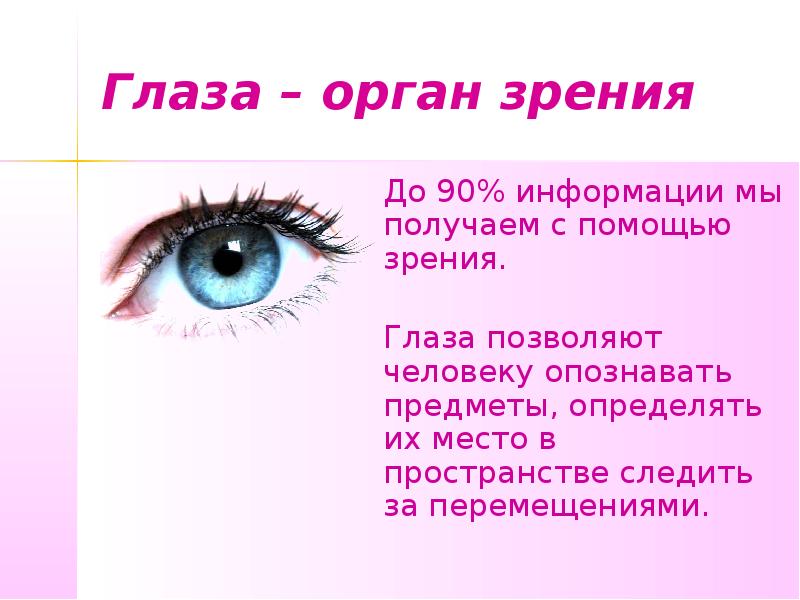 Чувствую глаз. Глаз орган. Глаз как орган чувств. Глаза орган зрения. Органы чувств глаза картинки.