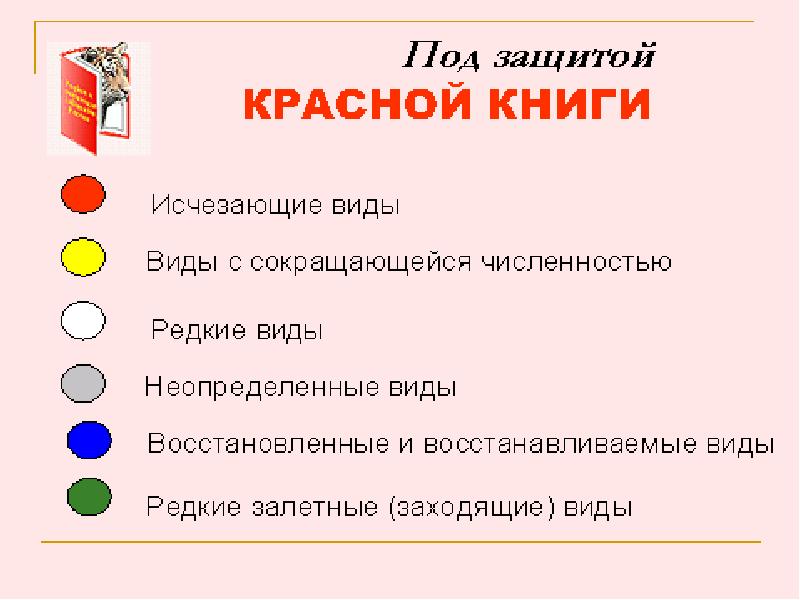 Презентация красная книга 2 класс окружающий мир красная книга