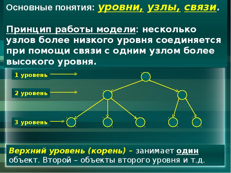 Основные сетевые модели. Сетевая модель представления данных. Иерархическая модель сетевая модель. Элемент данных в сетевой модели. Основные элементы сетевой модели данных.