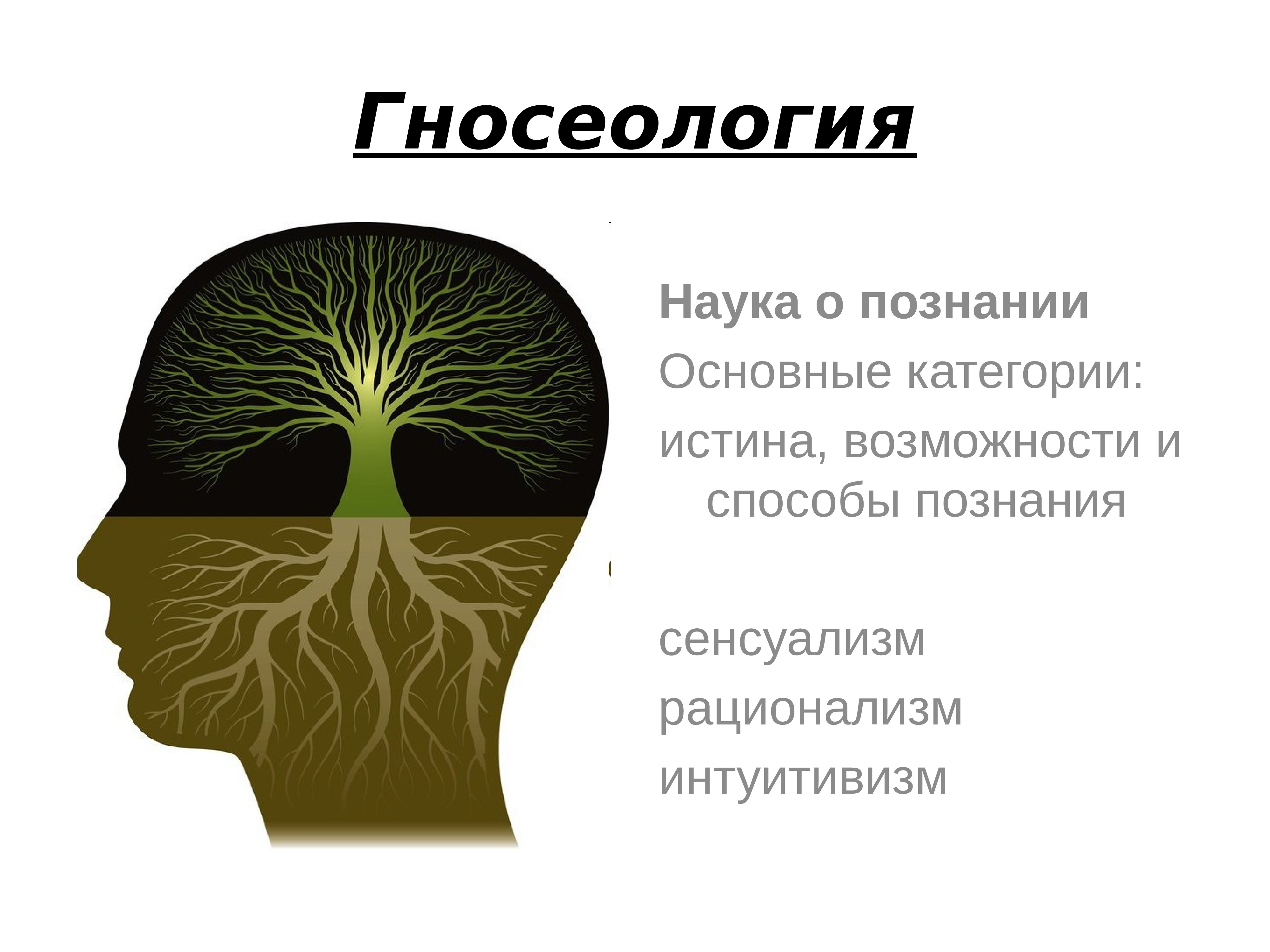 Презентация по философии гносеология