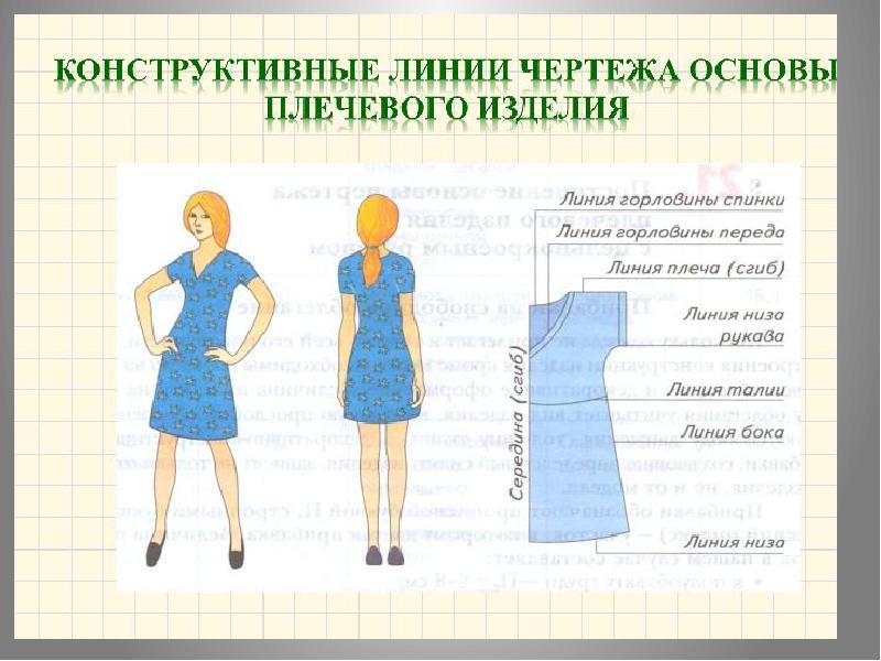 Построение чертежа основы швейного изделия в рабочей тетради выполняется в масштабе