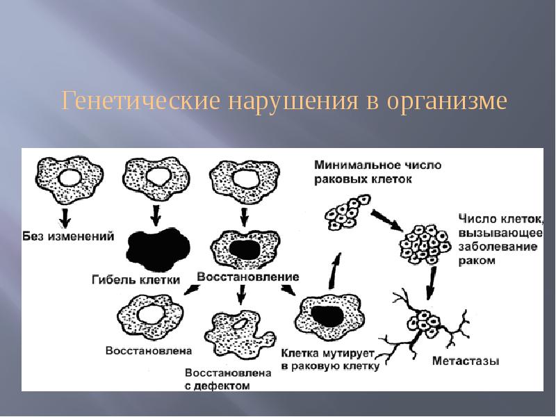 Наследственные организмы. Генетические нарушения. Генетический сбой.