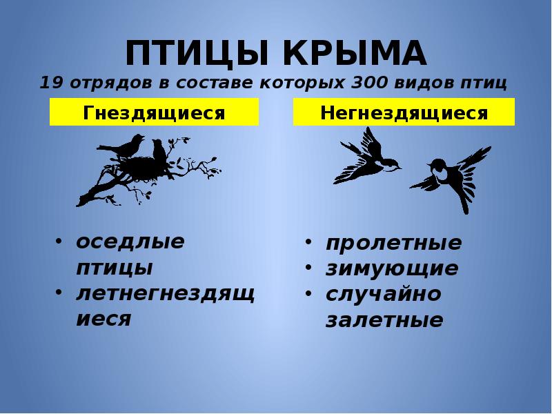 Проект птицы крыма