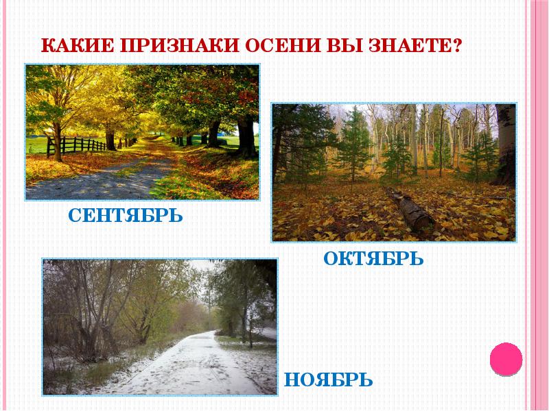 Признаки осени. Признаки осени октябрь. Признаки осени презентация. Признаки осени в ноябре.