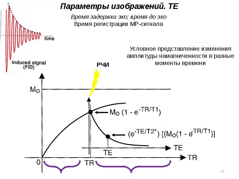 Эхо времени. Амплитуда изменения блеска. Сигналы времен. Хаотическая импульсивная последовательность. Взвешенность.