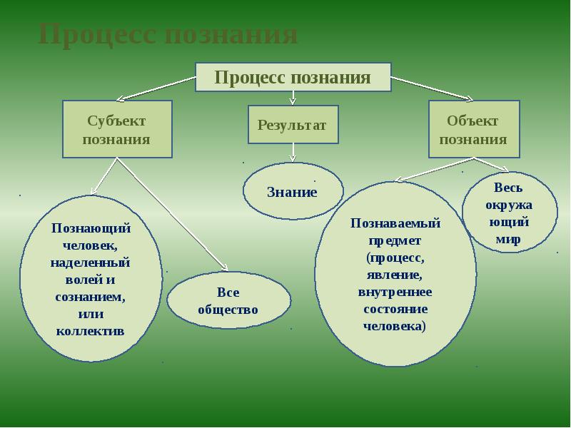 Процесс познания и освоения