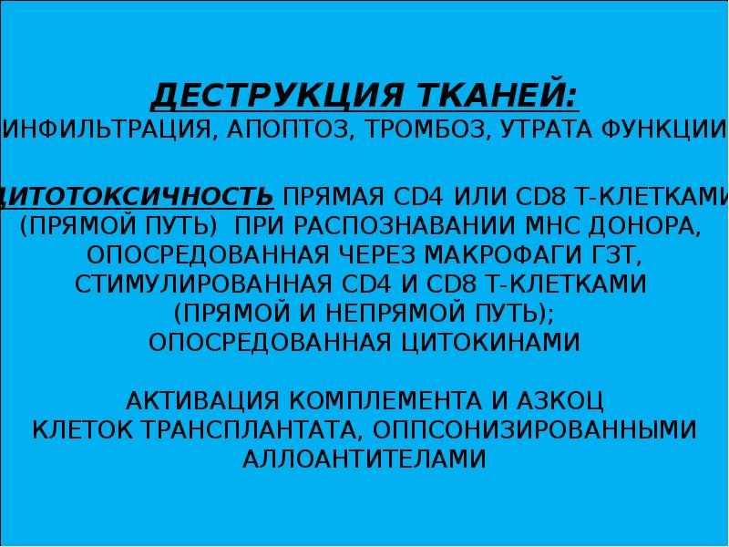 Трансплантационный иммунитет презентация