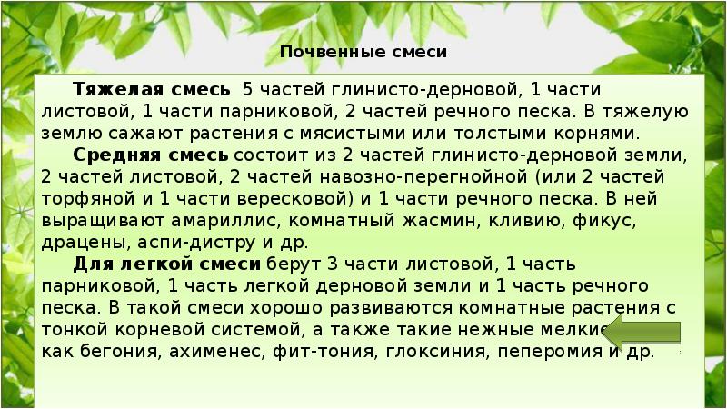 Лист зеленеет сочинение 4 класс. Как вырастить цветок сочинение. Сочинение цветов в интерьере. Сочинение на тему как посадить цветок. Сочинение про сажание цветов.