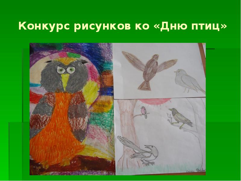 Рисунок к дню птиц. Рисунок ко Дню птиц. День рисования птиц. Конкурс день птиц. Конкурс рисунков на тему день птиц.
