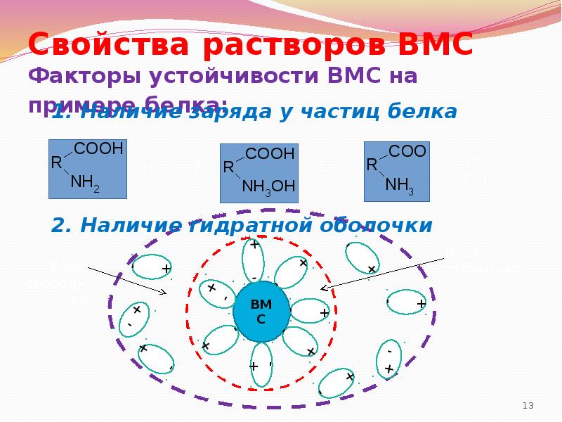 Свойства растворов ВМС Факторы устойчивости ВМС на примере белка:
1. Наличие Свойства растворов ВМС Факторы устойчивости ВМС на примере белка:
1. Наличие
