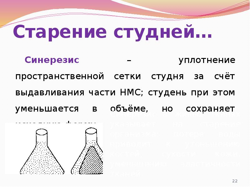 Старение студней… Синерезис – уплотнение пространственной сетки студня за счёт выдавливания