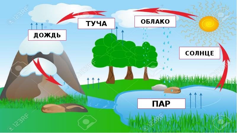 Дождь класса 1. Почему идет дождь. Почему идет дождь для дет. Идти почему д. Исследовательская работа почему идёт дождь?.