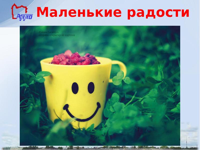 Маленькие Радости Интернет Магазин