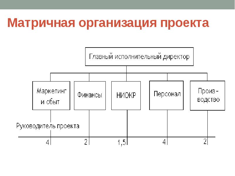 Организация проекта. Матричная организация. Субъекты проектного управления.