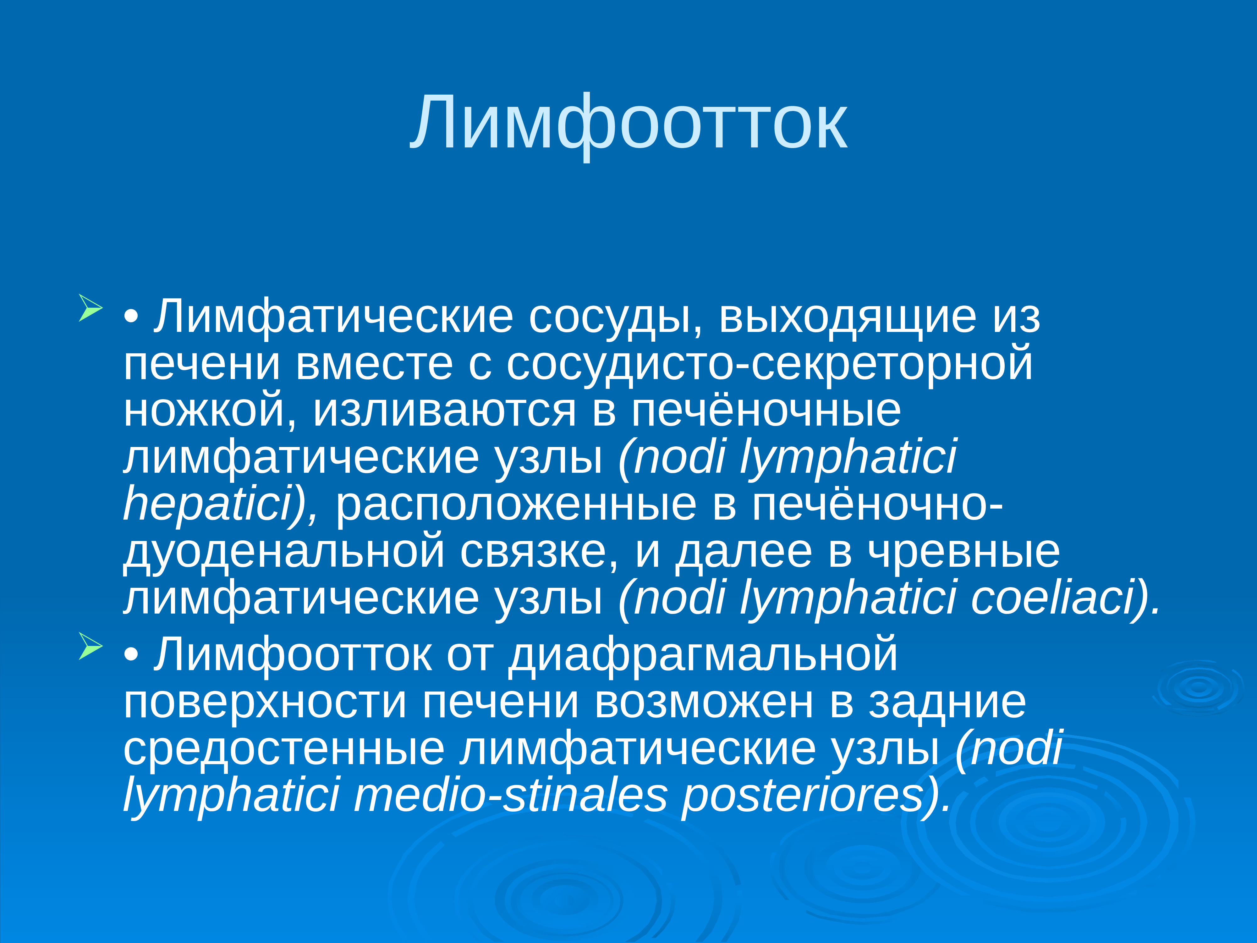 Лимфоотток. Лимфатические сосуды печени. Лимфоотток печени анатомия. Печеночные лимфатические узлы.