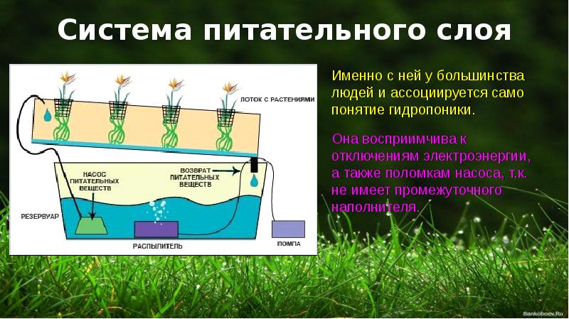 Зачем нужны картинки nft