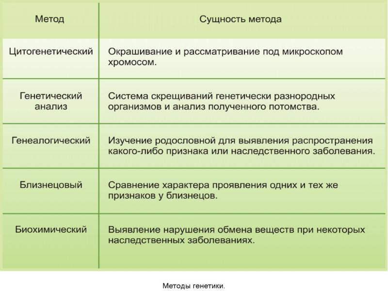 Какое лекарственное средство является оптимальным для регуляции стула беременных