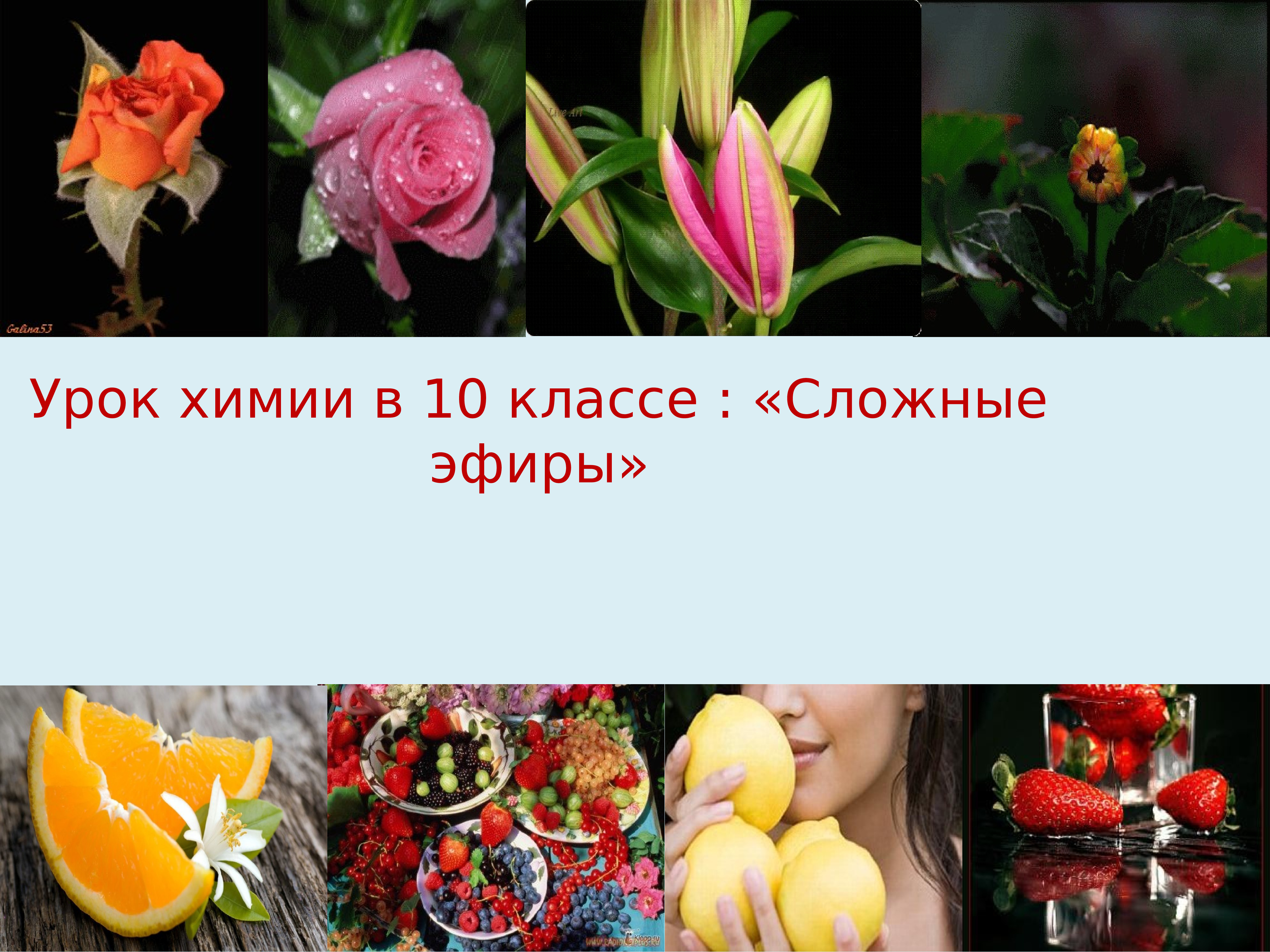 Химия 10 класс сложные эфиры презентация 10 класс