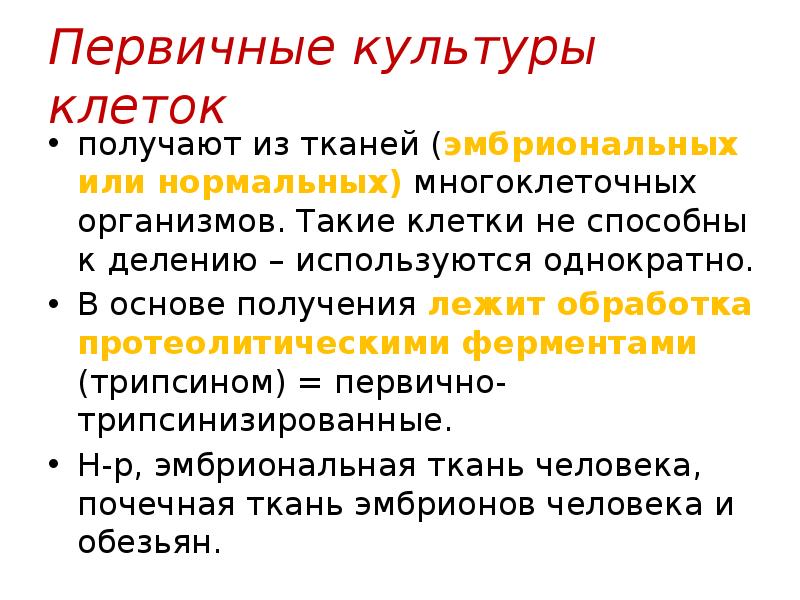 первичные культуры человека. первичные культуры клето. направление деятельности в культуре. первичные культуры человека. первично трипсинизированные культуры клеток это.