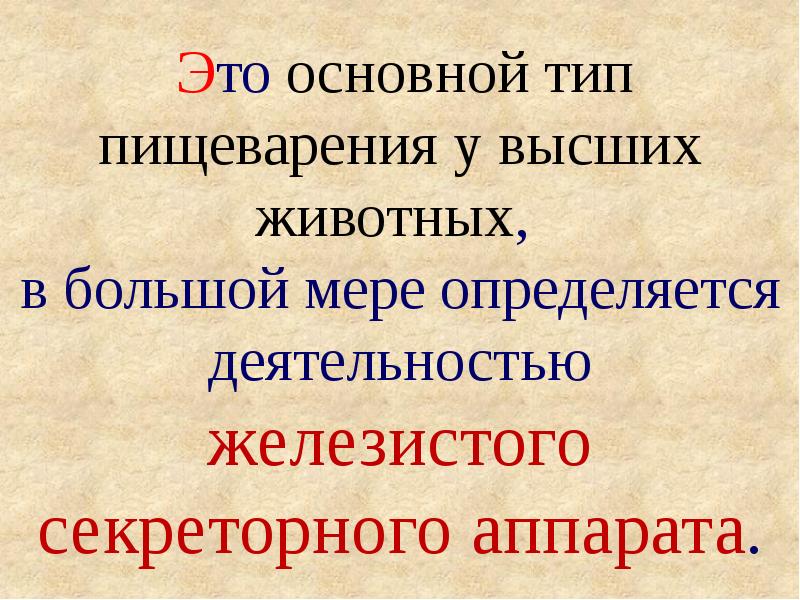 Что такое то э. Php программирование. Большевики это кратко. Что такое то э. Симптоматика.