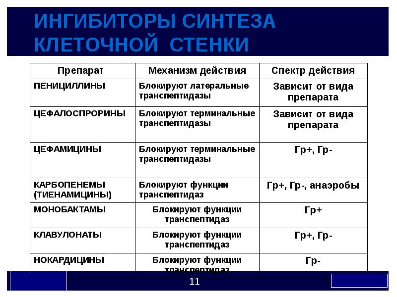 Какие антибиотики ингибируют синтез микробной стенки