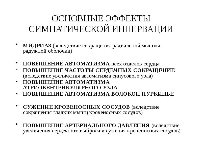 ОСНОВНЫЕ ЭФФЕКТЫ СИМПАТИЧЕСКОЙ ИННЕРВАЦИИ
МИДРИАЗ (вследствие сокращения радиальной мышцы радужной оболочки)
ОСНОВНЫЕ ЭФФЕКТЫ СИМПАТИЧЕСКОЙ ИННЕРВАЦИИ
МИДРИАЗ (вследствие сокращения радиальной мышцы радужной оболочки)