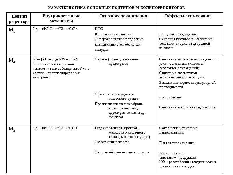 ХАРАКТЕРИСТИКА ОСНОВНЫХ ПОДТИПОВ М-ХОЛИНОРЕЦЕПТОРОВ ХАРАКТЕРИСТИКА ОСНОВНЫХ ПОДТИПОВ М-ХОЛИНОРЕЦЕПТОРОВ