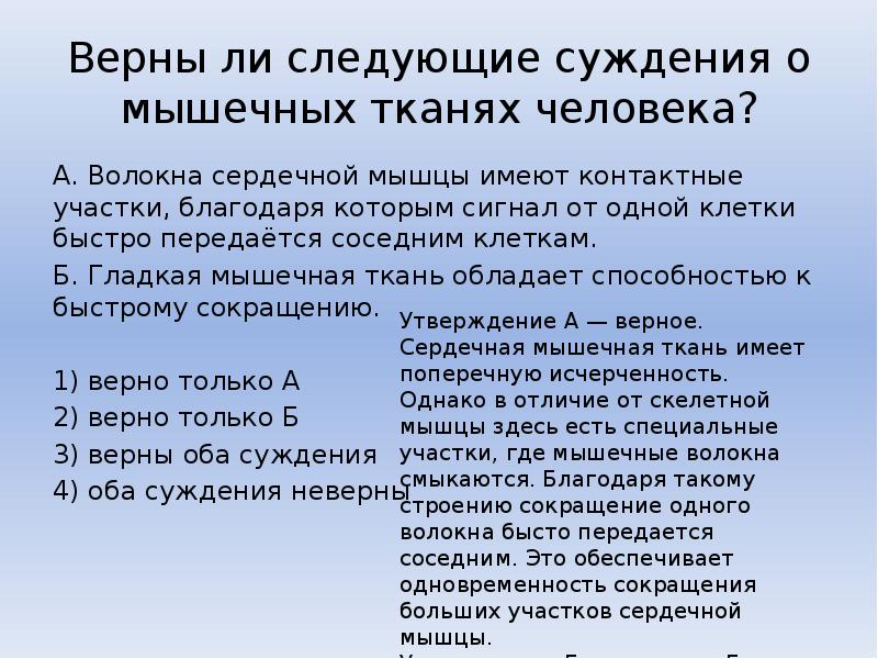 Способностью к быстрым сокращениям. Верны ли следующие суждения волокна сердечной. Верны ли следующие суждения о мышечных тканях человека. Верны ли следующие суждения  волокна сердечной мышцы. Верно ли следующее утверждение о мышечных тканях человека.