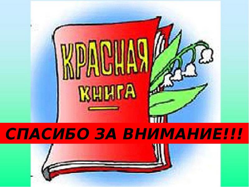 Проект красная книга иркутской области 5 класс