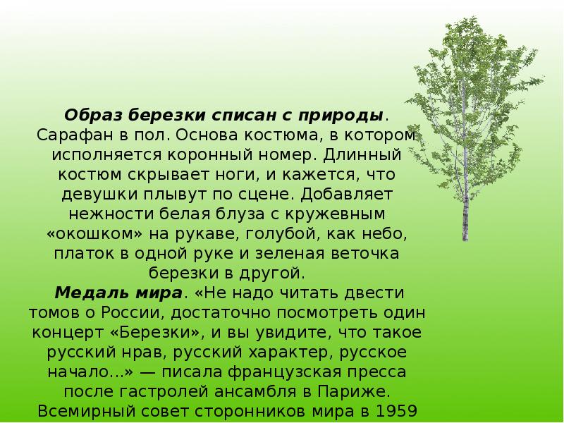 Н вагнер береза 4 класс школа 21 века презентация