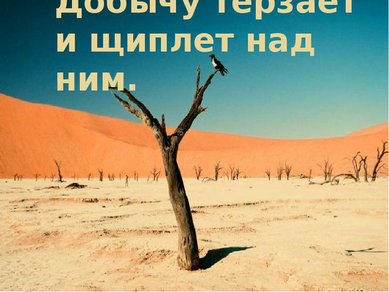 И ныне дикий