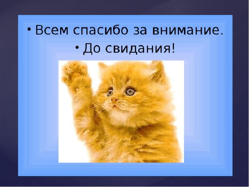 Презентация с котиками